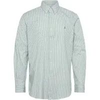 Ralph Lauren pour homme. 710929346505 Chemise en popeline et élastique Custom Fit bleue (XL), Casuel, Vert, Coton, Manche longue