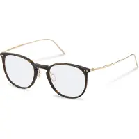 Rodenstock Lunettes R7136 Pantos
