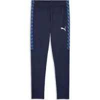 Puma Pantalon de sport 'TeamLiga26' bleu marine / bleu roi / bleu foncé / blanc