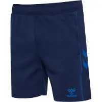 Hummel Move 2.0 Shorts Bleu XL Homme