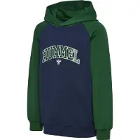 Hummel Essen Hoodie Vert,Bleu 110 cm Garçon