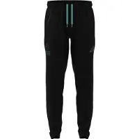 Adidas Mercedes-amg Petronas F1 Team Lot Vt Pants Noir XS / Regular Homme