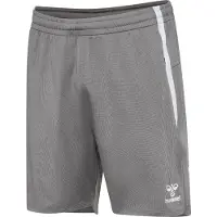 Hummel Pantalon de sport 'Lead 2.0' gris / gris clair