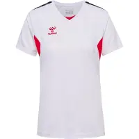 Hummel T-shirt fonctionnel 'AUTHENTIC PL ' gris / rouge sang / noir / blanc