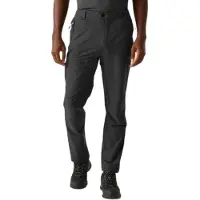 Regatta Highton Ii Pants Gris 33 / Regular Homme