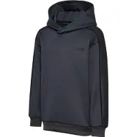 Hummel Interlock Hoodie Gris 122-128 cm Enfants