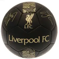 Precision Ballon De Football Liverpool Phantom Signature