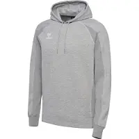 Hummel Move 2.0 Hoodie Gris 2XL Homme