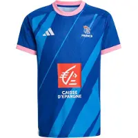 Adidas T-Shirt fonctionnel 'FFHB' bleu / azur / rose / rouge foncé
