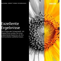 Xerox Cartouche de toner (2 packs) (106R02626)