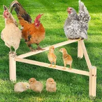 OEM Jouet pour oiseaux « Espace de remise en forme » triangulaire en bois, hauteur 16 cm