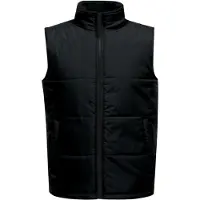 Regatta - Gilet « Access » pour homme FK2635 (3XL) (noir)