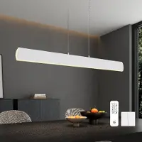 Doporro Suspension Luminaire Plafonnier Lustre Chambre Salon Réglable Éclairage Intérieur Mémoire Intelligente Lampe de Nuit LED Blanc Télécommande 100×8×120CM 20W Alivetta3730