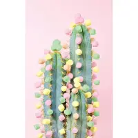 Ravensburger Puzzle Moment : Cactus 200 pièces
