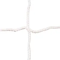 Powershot Continental Goal Net 4mm Argenté 7.32 x 2.44 m