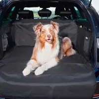 OEM Tapis de protection pour chien imperméable, résistant aux griffures, avec bords renforcés