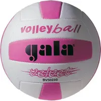 Gala Velvet 5023S ballon de volley-ball taille 5
