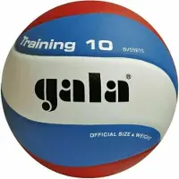 Gala d'entraînement 10 Volley-ball en salle