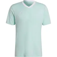 Adidas Entrada 22 Short Sleeve T-shirt Bleu S / Regular Homme