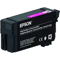 Epson Single Xd2 T40c340 26ml Ink Cartridge Rose