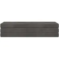 vidaXL Canapé-lit pliant 180 x 67 x 45 cm, gris foncé