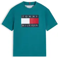 Tommy Hilfiger T-Shirt 'Heritage' bleu nuit / pétrole / rouge / blanc