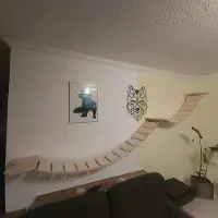OEM Mur d'escalade pour grands chats avec échelle robuste et vis de fixation (200 cm x 200 cm)