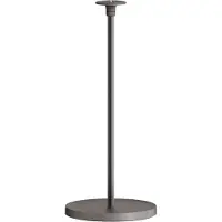 XGIMI Support au sol (Elephant Grey), gris