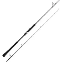Shimano Canne à pêche Fishing Game Type Cast Slow Jigging, argent, 1,68 m / 350 g, argent, 1,68 m