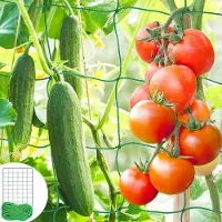 OEM Support pour tomates et concombres, dimensions 1,8 x 2,7 m, avec un maillage large idéal pour les plantes grimpantes dans le jardin, sur le balcon ou dans la serre : protection et soutien