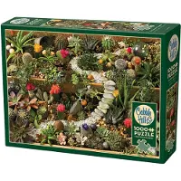 Cobble Hill Puzzle 1000 Succulentes dans le jardin