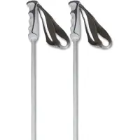 Kästle Mogul Ca Poles Argenté 100 cm