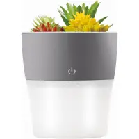 Setty Mini-humidificateur pour bureau, diffuseur, pot de fleurs, fleurs artificielles