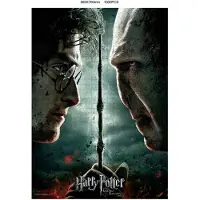 SD Toys Harry Potter Voldemort Vs Harry Puzzle 1000 Pièces