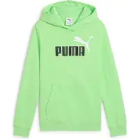 Puma Sweat à Capuche Ess 2 Color Nº1 Logo