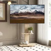 OEM Meuble TV - 60 x 40 cm - Modèle mobile pour téléviseurs de 32 à 75 pouces - Rétractable avec roulettes - Métal et bois - Finition naturelle