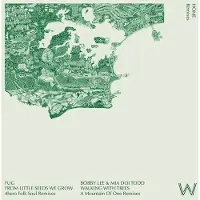 NEWS Home Remixes 4hero / Mountain Of 1 [Vinyl] Uk - Import
