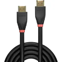 Lindy Active 10 M Hdmi 2.0 Cable Noir