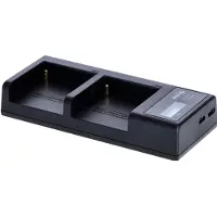 Rollei Chargeur de batterie pour batteries NP-F (Chargeur de batterie d'appareil photo), Alimentation pour appareil photo, Noir