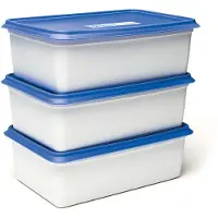 Day To Day Gefrierbox-Set 3x2000ml Alaska, Boîte de conservation, Bleu