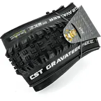 CST E-bike Gravateer Tubeless 29´´ X 2.50 Mtb Tyre Argenté 29´´ x 2.50