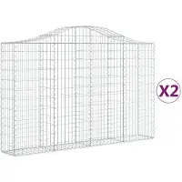 vidaXL Gabions avec arc surélevé 2 pcs. 200x30x120/140cm Fer galvanisé