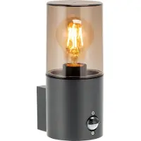 Adviti SALVIA Applique murale, lampe de jardin avec capteur PIR, E27, IP54, gris