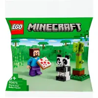 LEGO Minecraft Steve et bébé panda