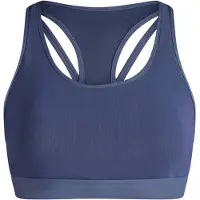 Fabletics Soutien-gorge 'PRINCIPAL HIGH IMPACT SPORTS BRA' bleu foncé