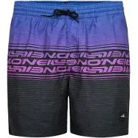 O'Neill Logo Stripe 16´´ Swimming Shorts Bleu,Gris S Homme