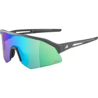 Alpina sport Lunettes de soleil Sonic HR Q-Lite