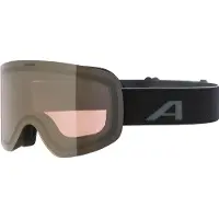 Alpina Masque de ski