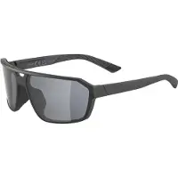 Alpina Sunglasses Swift Black Matt/Black