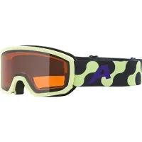Alpina Masque de ski
